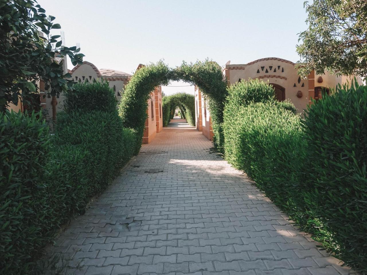 Al Baeirat Hotel Luxor Eksteriør billede